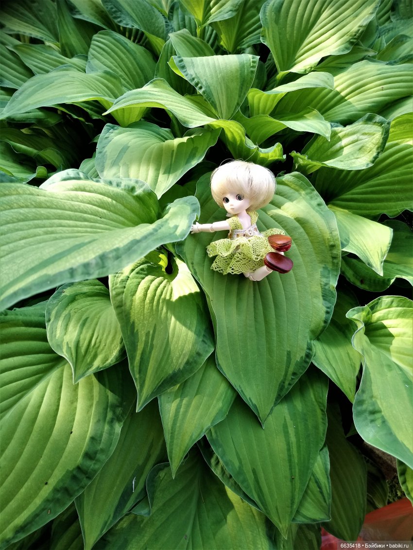 Эльфийка КУЭ в летнем саду