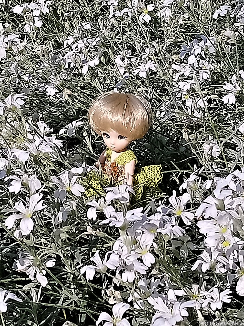 Эльфийка КУЭ в летнем саду (фото 2)