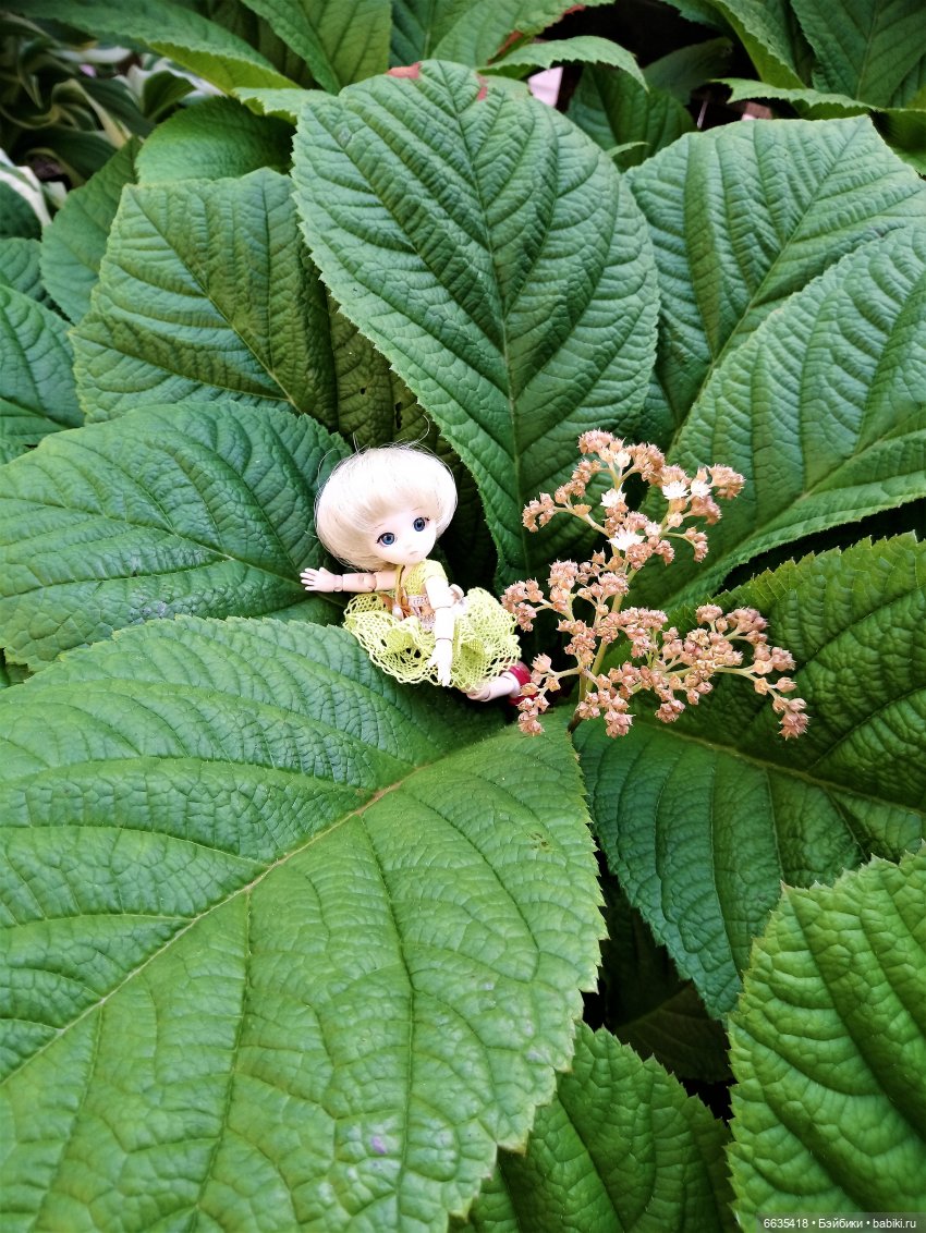 Эльфийка КУЭ в летнем саду