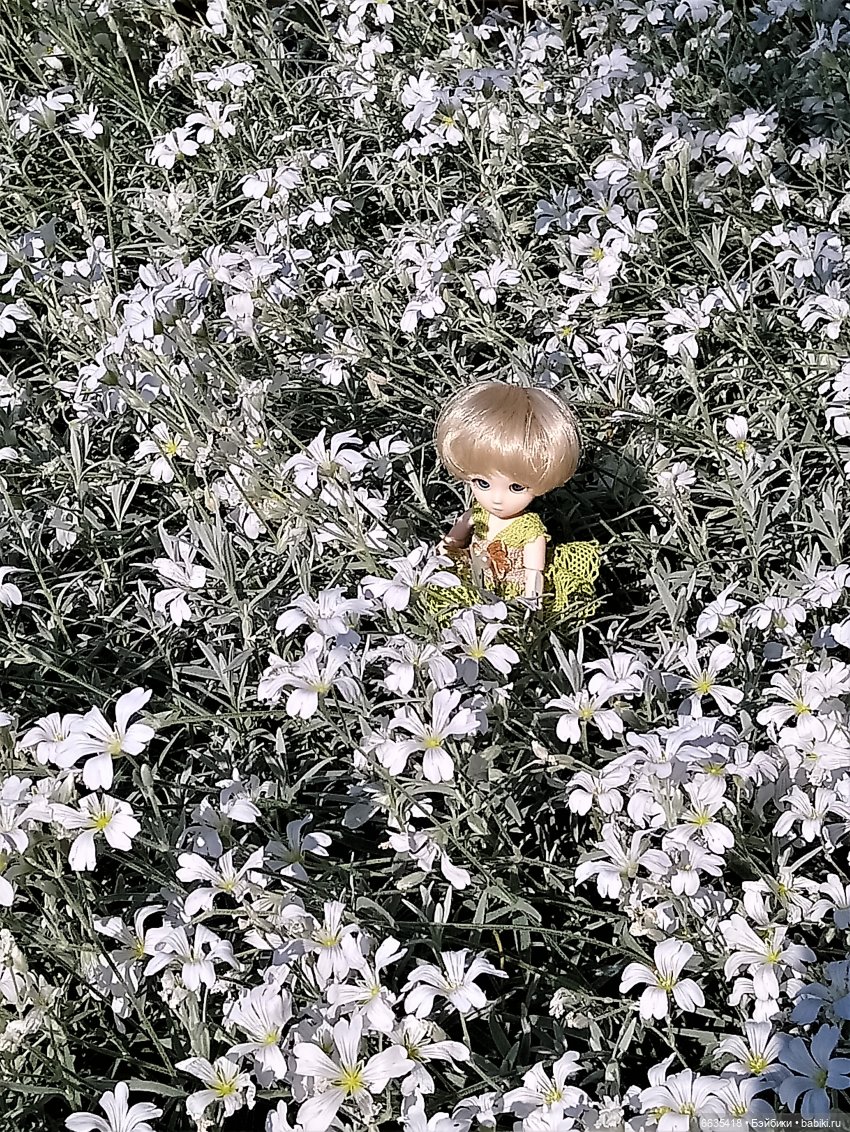 Эльфийка КУЭ в летнем саду