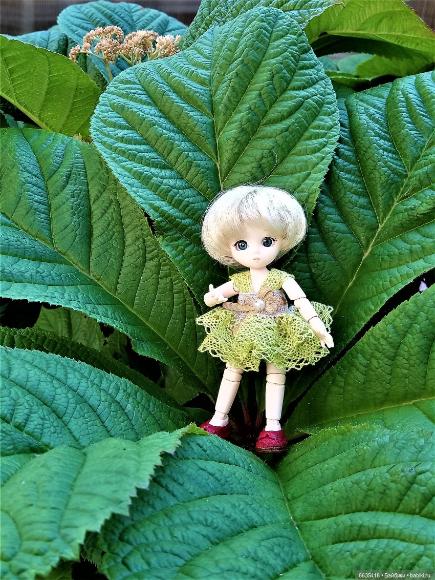 Эльфийка КУЭ в летнем саду