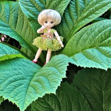 Эльфийка КУЭ в летнем саду