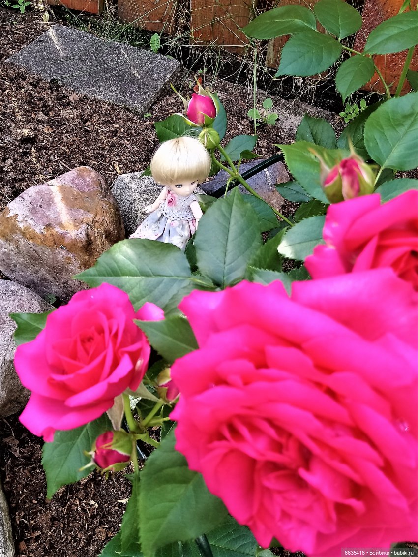 Прогулка на стрекозе — Фотоистории с куклами BJD (БЖД): сериалы (фото 2)