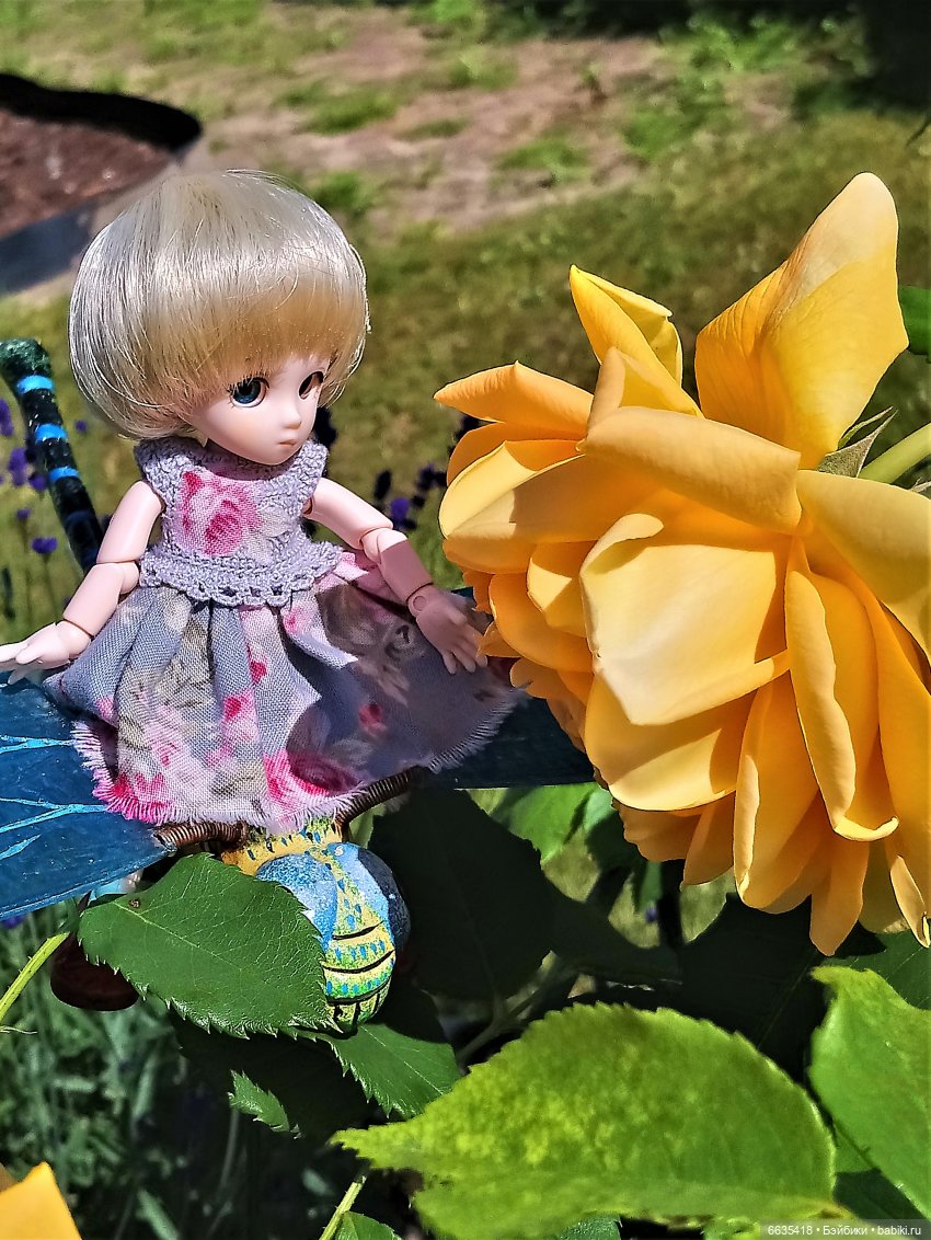 Прогулка на стрекозе — Фотоистории с куклами BJD (БЖД): сериалы (фото 7)
