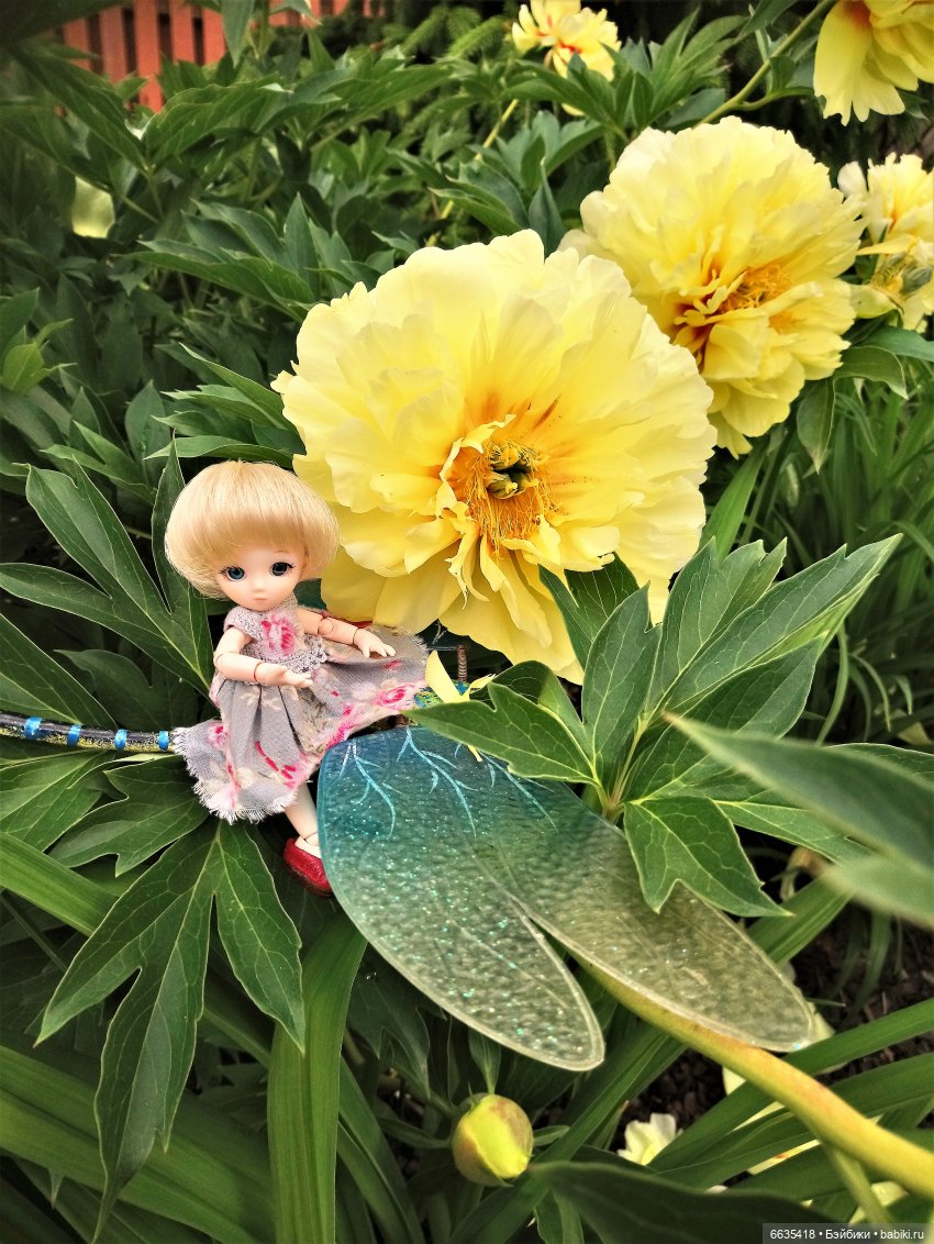 Прогулка на стрекозе — Фотоистории с куклами BJD (БЖД): сериалы