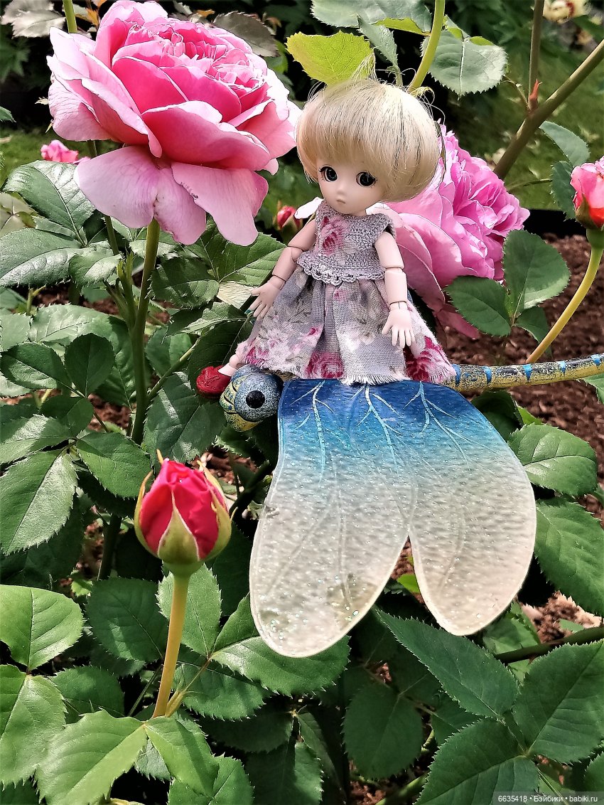 Прогулка на стрекозе — Фотоистории с куклами BJD (БЖД): сериалы (фото 6)