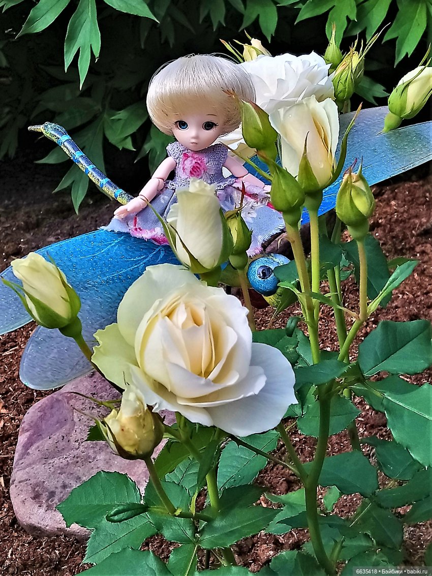 Прогулка на стрекозе — Фотоистории с куклами BJD (БЖД): сериалы (фото 5)
