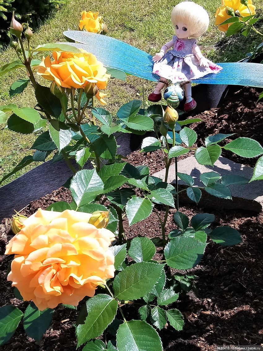 Прогулка на стрекозе — Фотоистории с куклами BJD (БЖД): сериалы (фото 8)