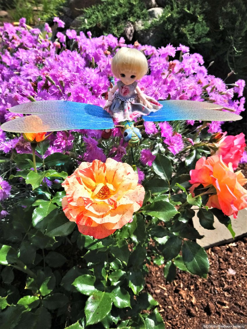 Прогулка на стрекозе — Фотоистории с куклами BJD (БЖД): сериалы (фото 10)