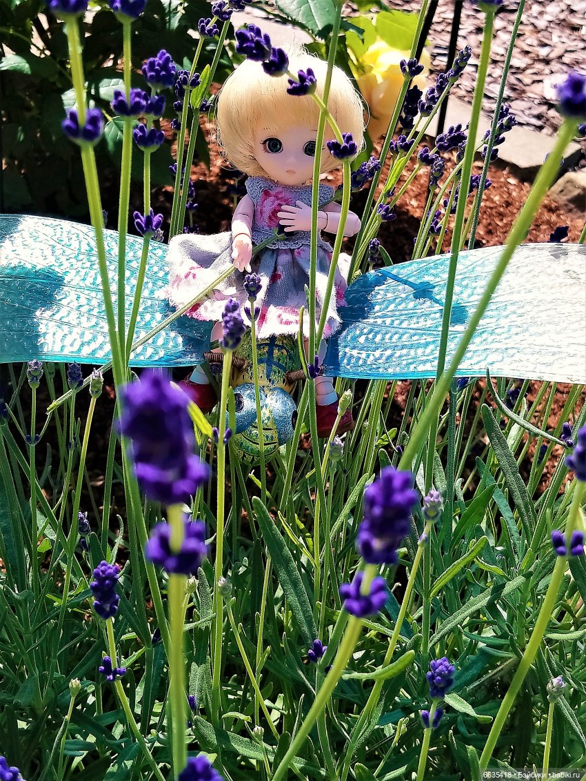 Прогулка на стрекозе — Фотоистории с куклами BJD (БЖД): сериалы