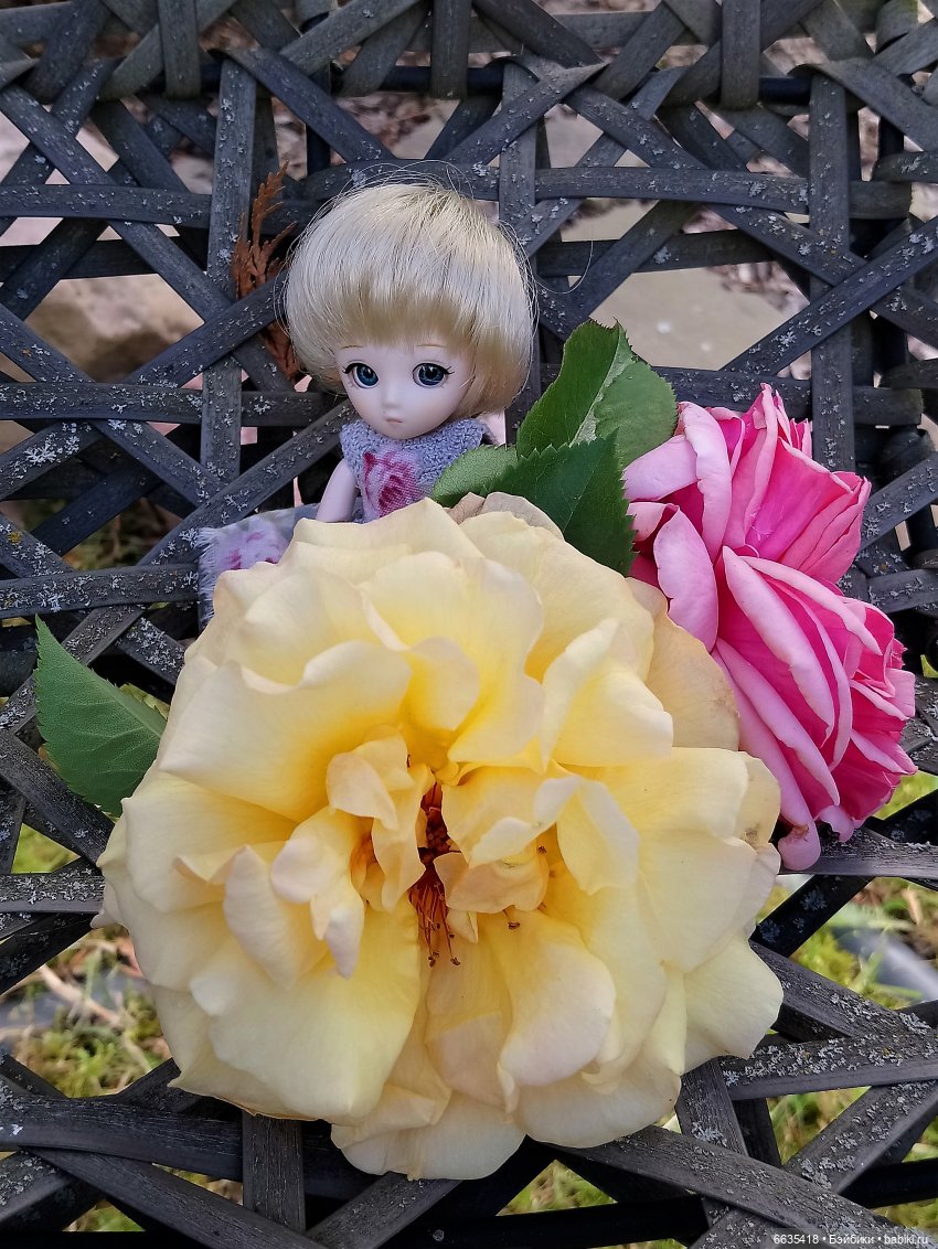 Прогулка на стрекозе — Фотоистории с куклами BJD (БЖД): сериалы