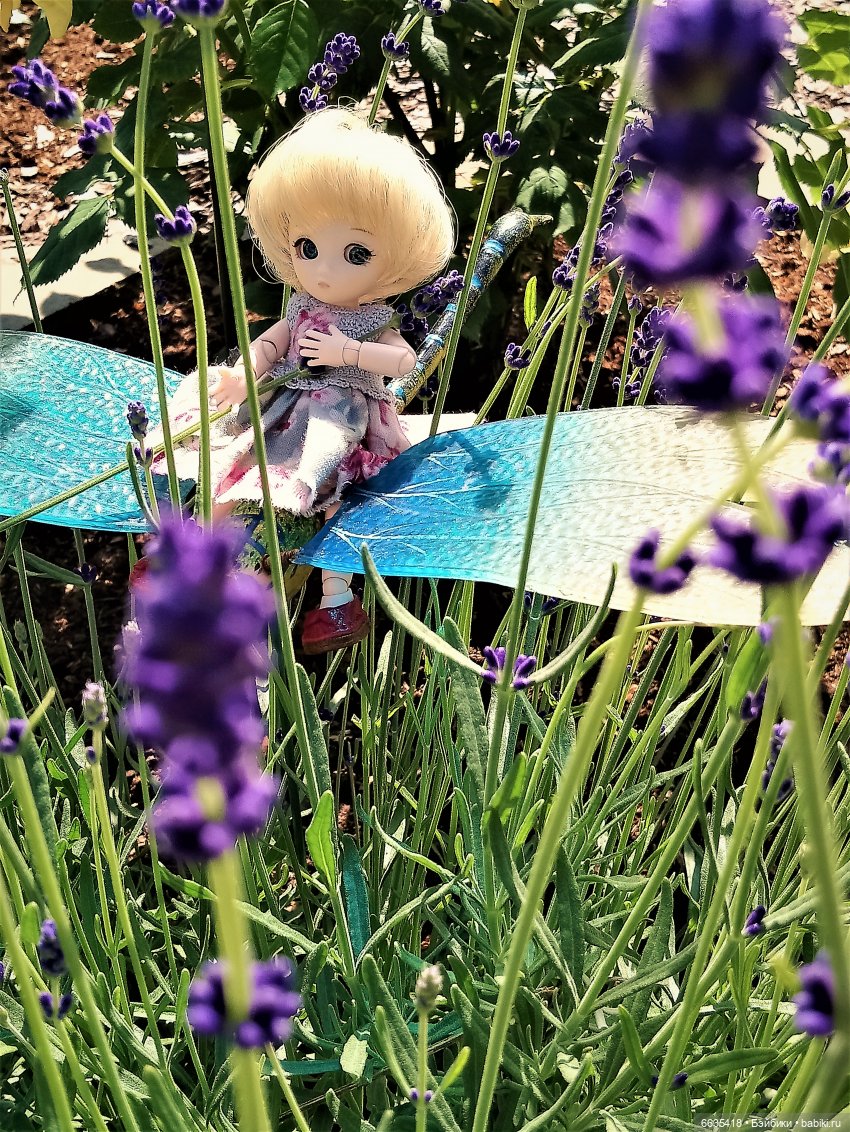 Прогулка на стрекозе — Фотоистории с куклами BJD (БЖД): сериалы