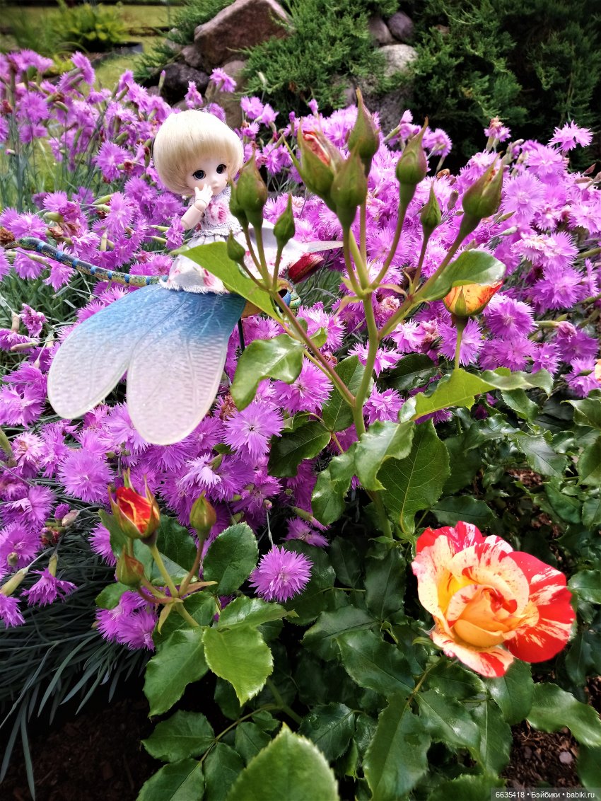 Прогулка на стрекозе — Фотоистории с куклами BJD (БЖД): сериалы (фото 9)