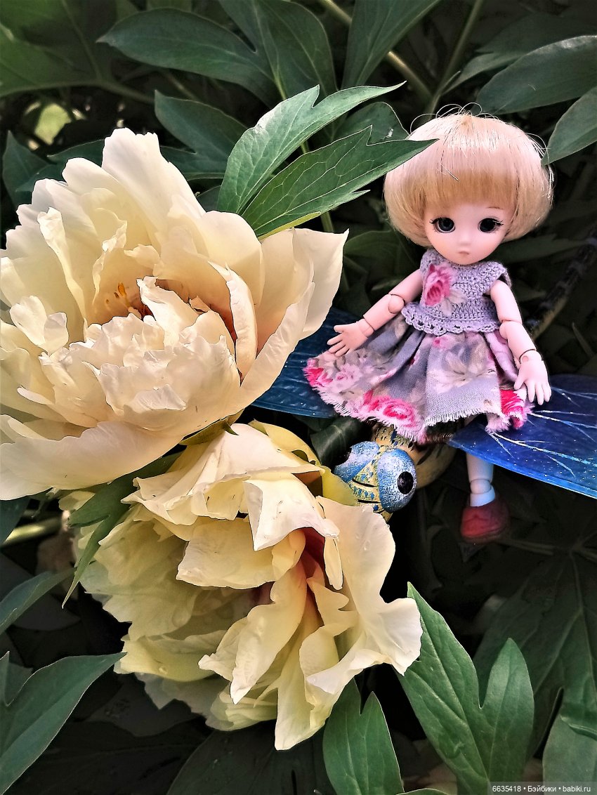 Прогулка на стрекозе — Фотоистории с куклами BJD (БЖД): сериалы