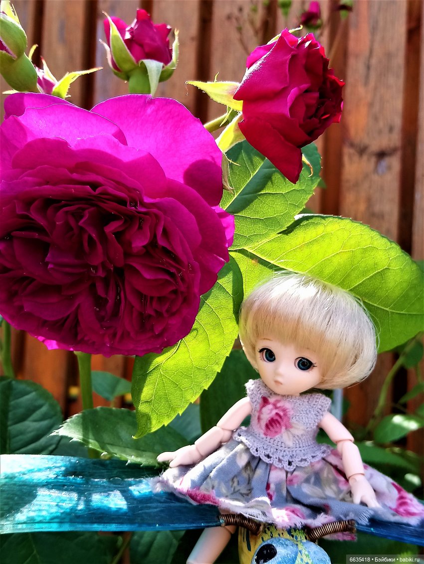 Прогулка на стрекозе — Фотоистории с куклами BJD (БЖД): сериалы (фото 4)