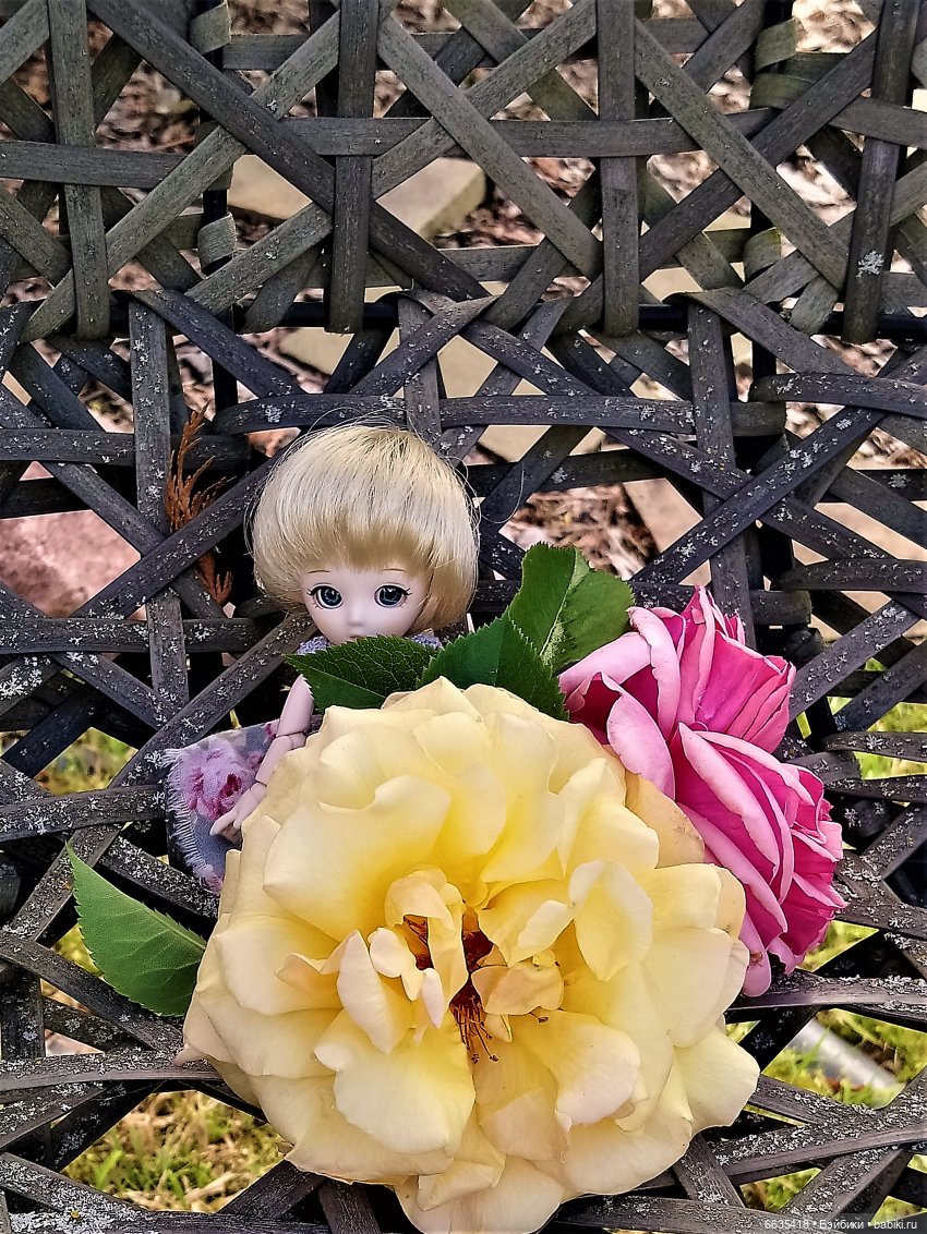 Прогулка на стрекозе — Фотоистории с куклами BJD (БЖД): сериалы