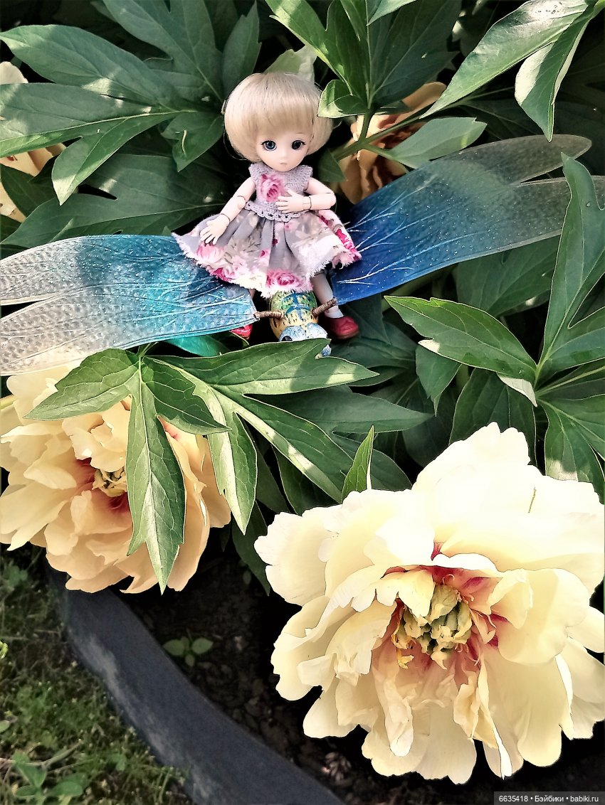 Прогулка на стрекозе — Фотоистории с куклами BJD (БЖД): сериалы