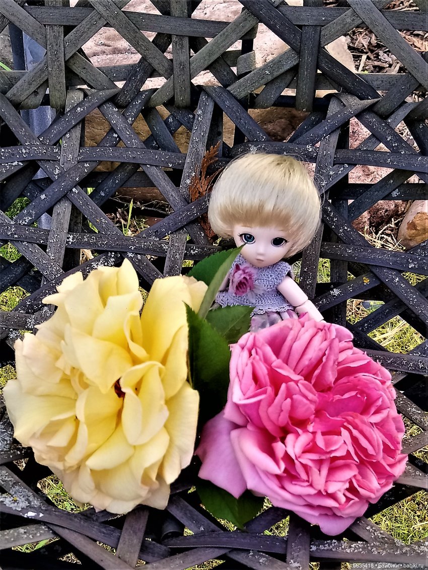 Прогулка на стрекозе — Фотоистории с куклами BJD (БЖД): сериалы