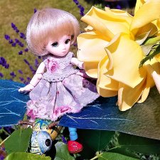 Прогулка на стрекозе