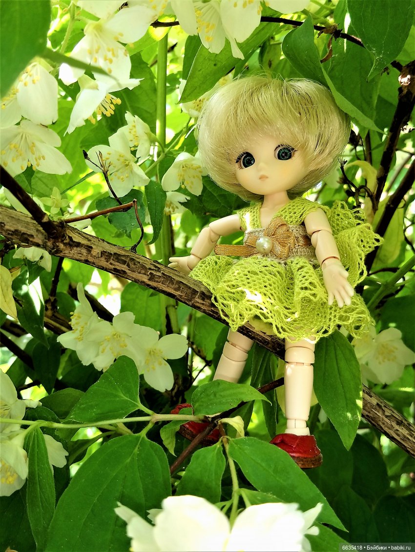 Листая страницы уходящего 2020 года (фото 5)