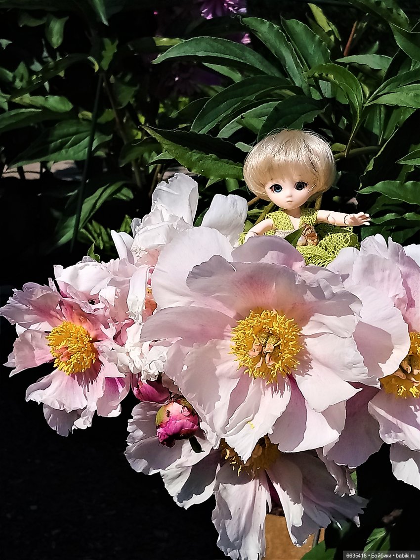 Листая страницы уходящего 2020 года (фото 8)