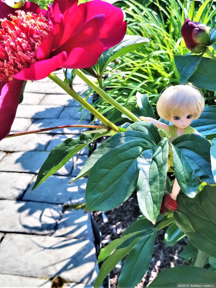 Листая страницы уходящего 2020 года (фото 4)