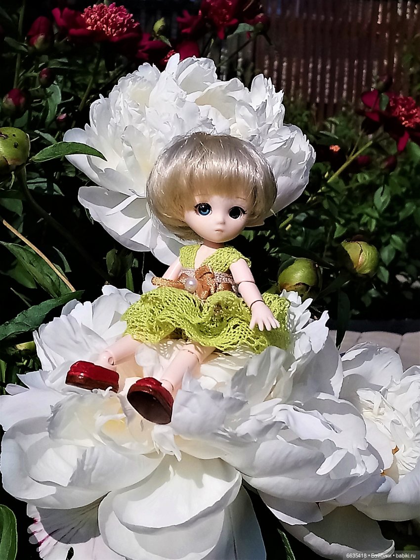 Листая страницы уходящего 2020 года (фото 7)