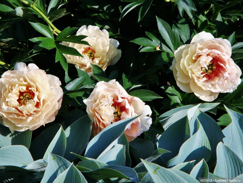 Мои времена года — Болталка и разговоры обо всем: жизнь