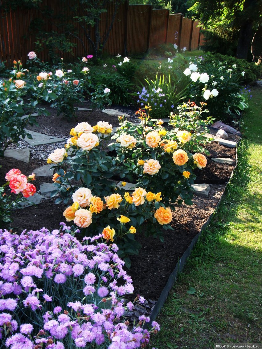 Мои времена года — Болталка и разговоры обо всем: жизнь