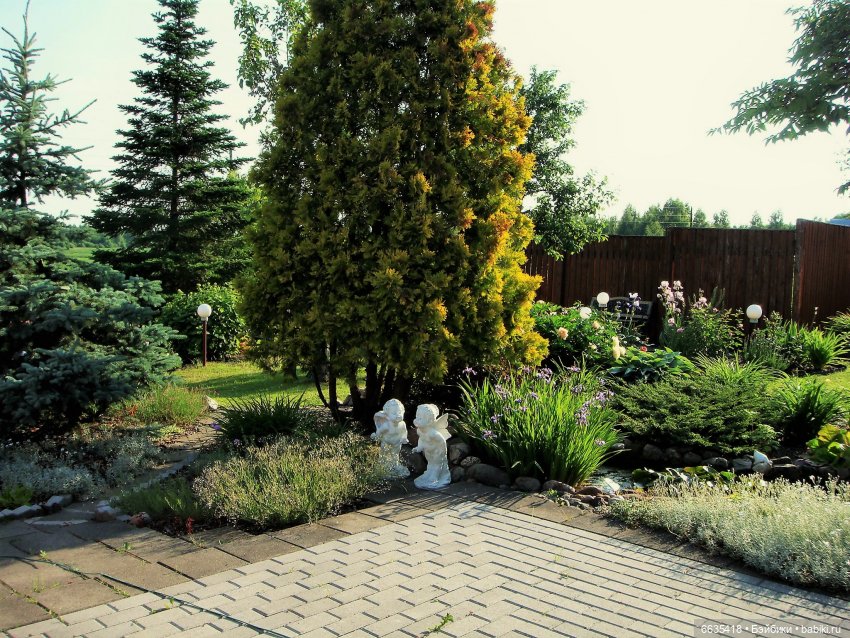 Мои времена года — Болталка и разговоры обо всем: жизнь