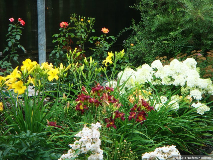 Мои времена года — Болталка и разговоры обо всем: жизнь