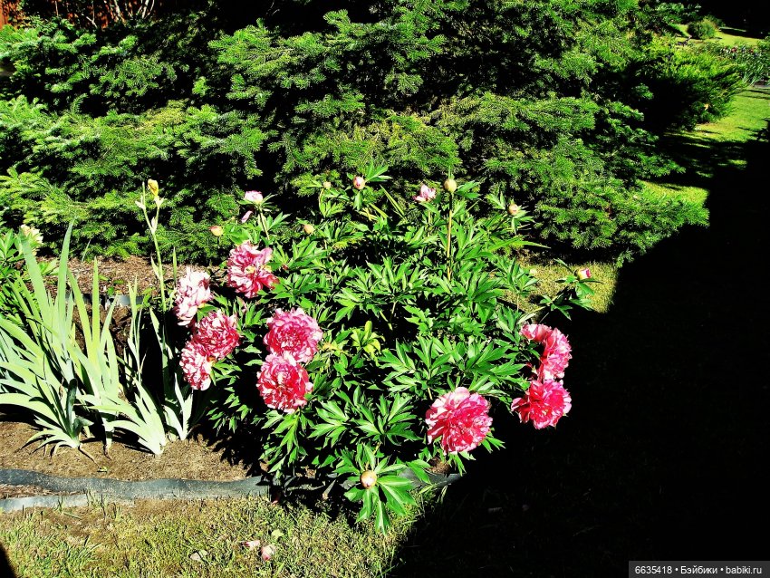 Мои времена года — Болталка и разговоры обо всем: жизнь