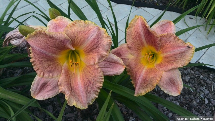 Мои времена года — Болталка и разговоры обо всем: жизнь