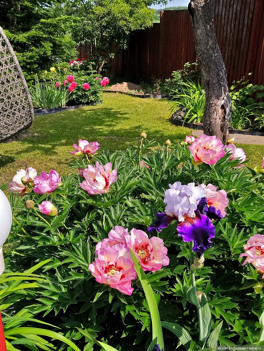 Мои времена года — Болталка и разговоры обо всем: жизнь