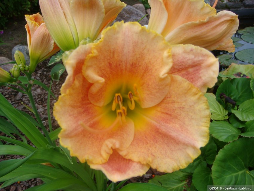 Мои времена года — Болталка и разговоры обо всем: жизнь