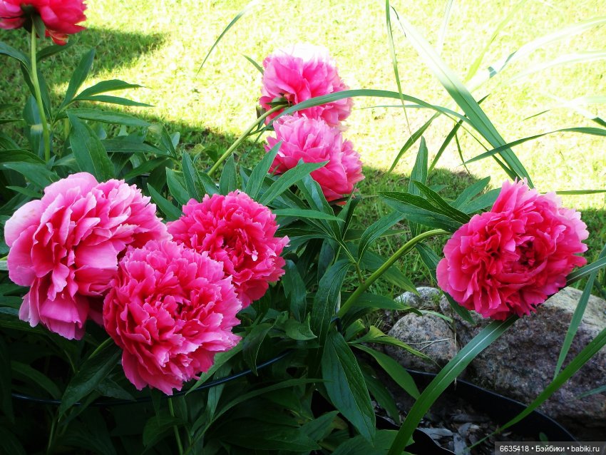 Мои времена года — Болталка и разговоры обо всем: жизнь