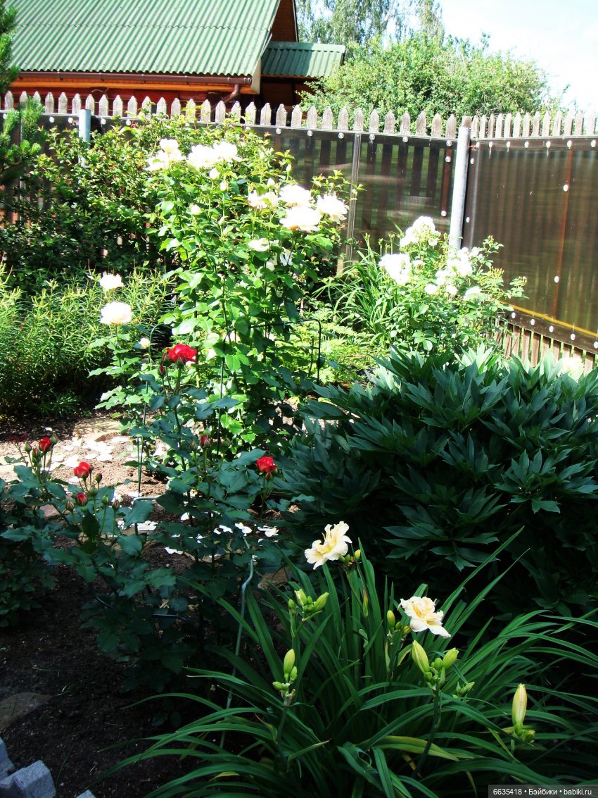 Мои времена года — Болталка и разговоры обо всем: жизнь