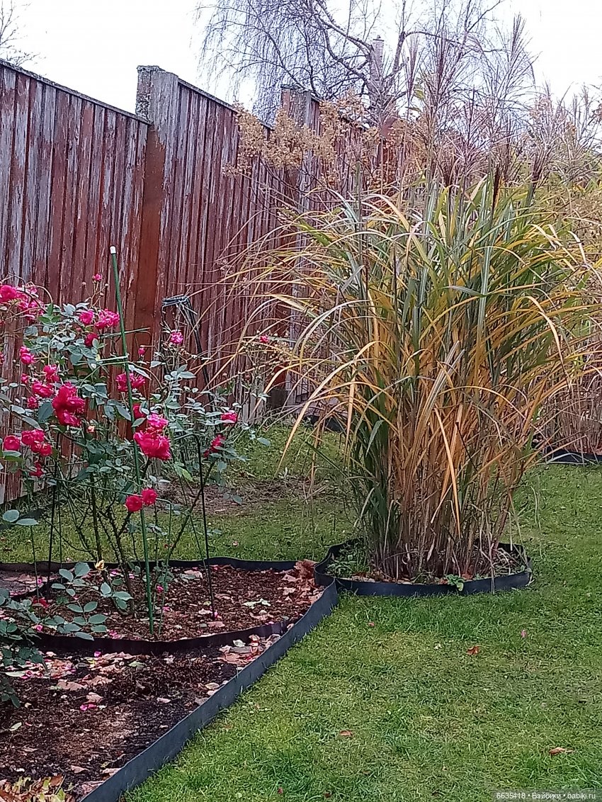 Мои времена года — Болталка и разговоры обо всем: жизнь (фото 3)