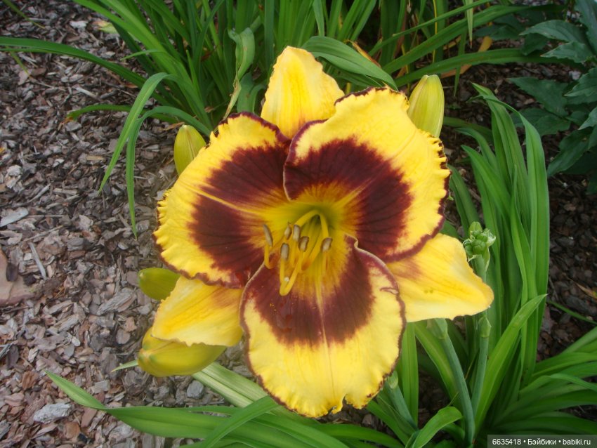 Мои времена года — Болталка и разговоры обо всем: жизнь