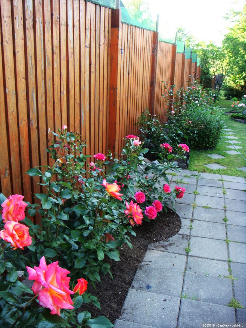 Мои времена года — Болталка и разговоры обо всем: жизнь