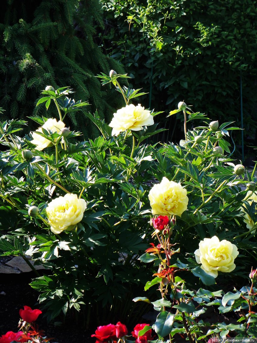 Мои времена года — Болталка и разговоры обо всем: жизнь