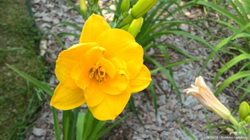 Мои времена года — Болталка и разговоры обо всем: жизнь