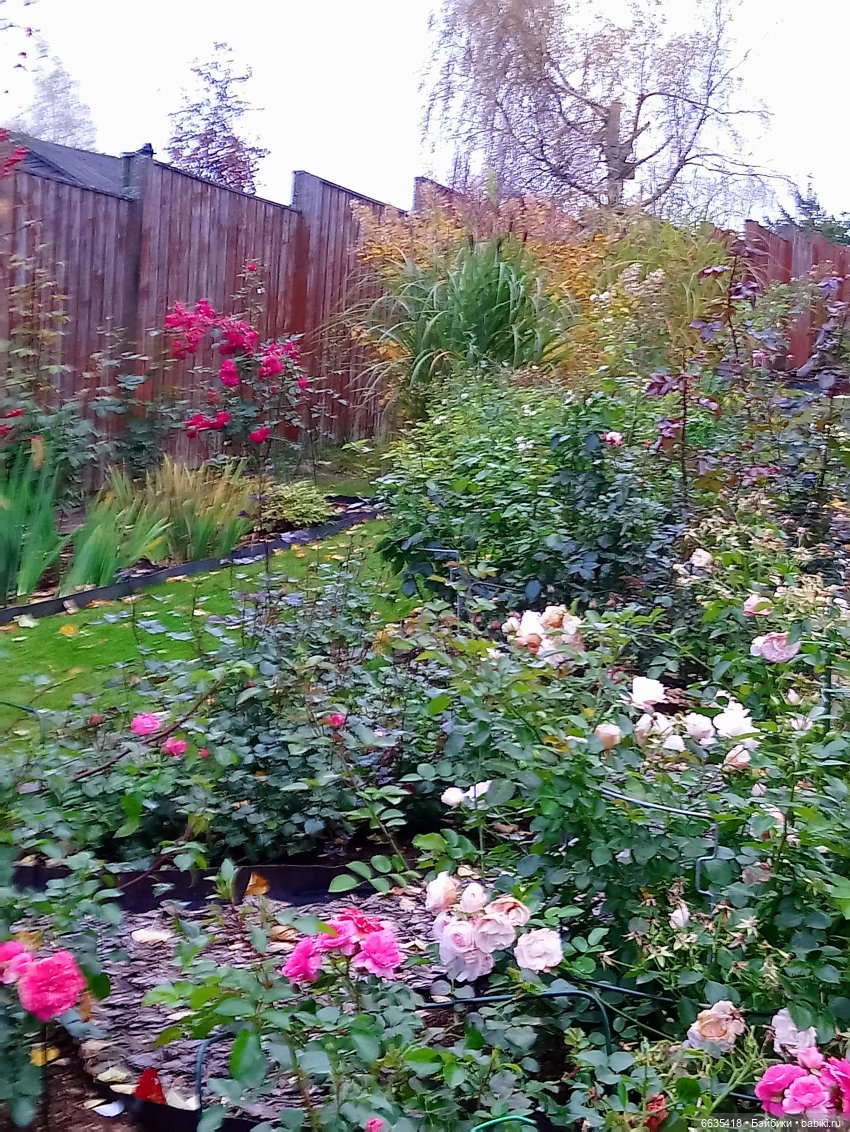 Мои времена года — Болталка и разговоры обо всем: жизнь (фото 4)