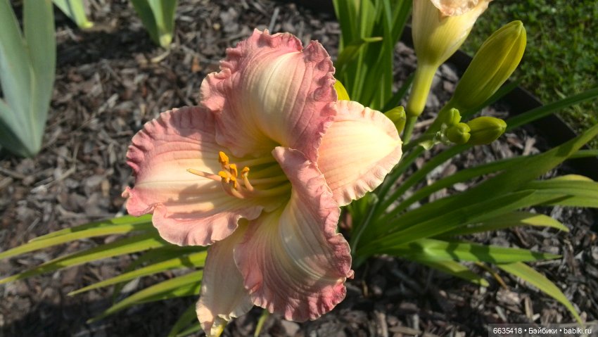 Мои времена года — Болталка и разговоры обо всем: жизнь