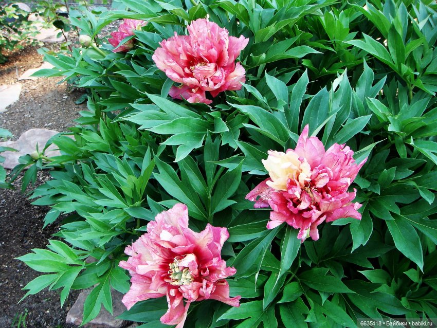 Мои времена года — Болталка и разговоры обо всем: жизнь