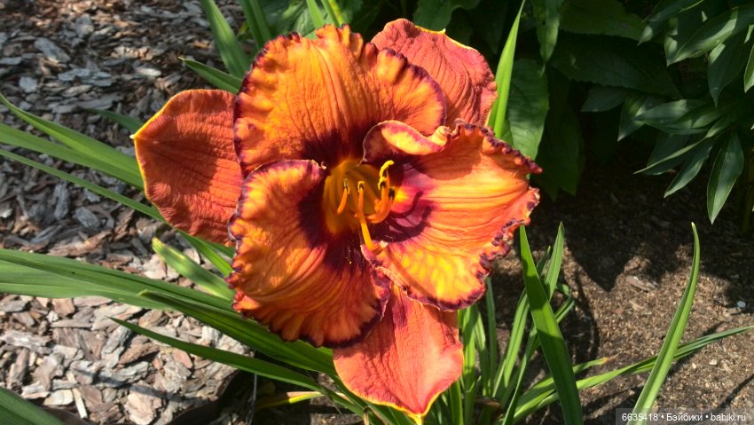 Мои времена года — Болталка и разговоры обо всем: жизнь