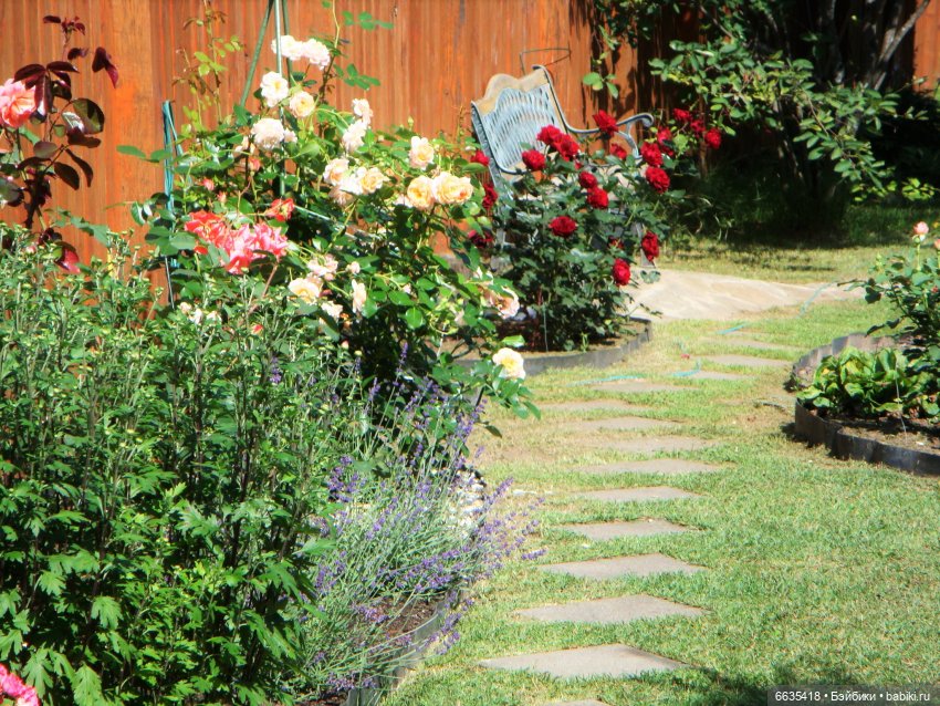 Мои времена года — Болталка и разговоры обо всем: жизнь