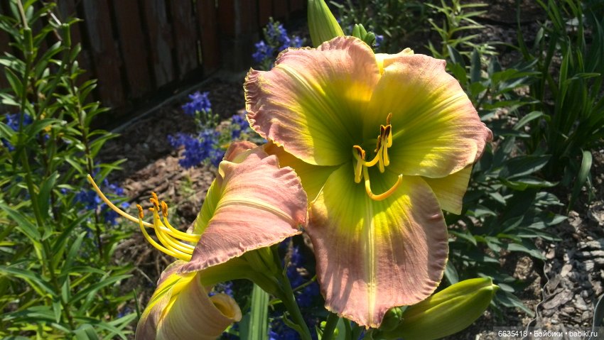 Мои времена года — Болталка и разговоры обо всем: жизнь