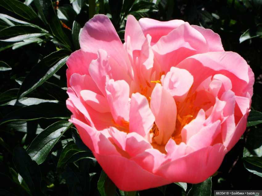 Мои времена года — Болталка и разговоры обо всем: жизнь