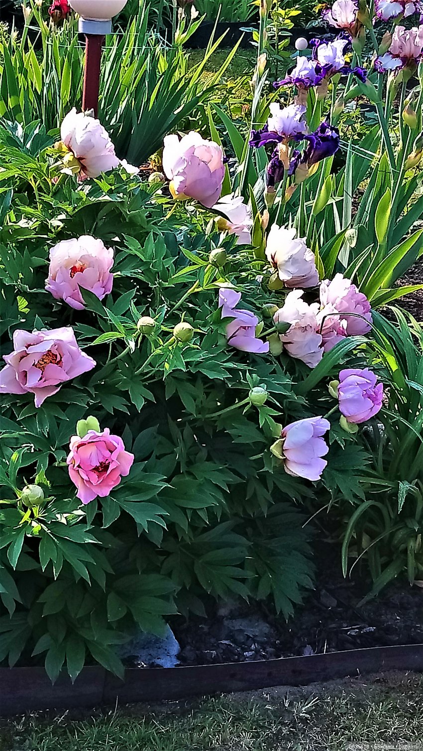 Мои времена года — Болталка и разговоры обо всем: жизнь